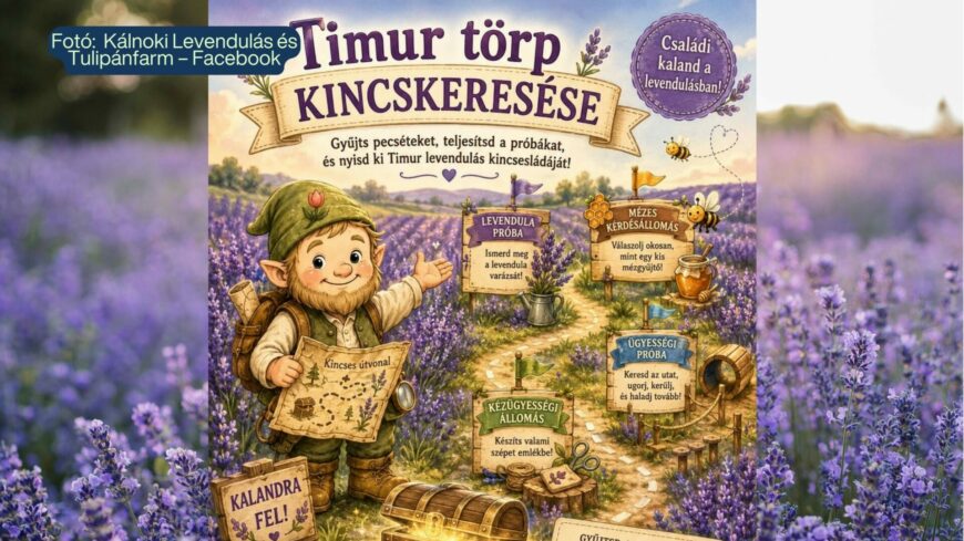img_Timur_torp_kincskeresese_a_Kalnoki_Levendulasban