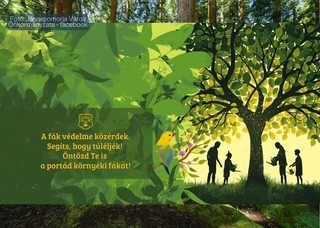 img_A_fak_vedelmere_hivja_fel_a_figyelmet_Janossomorja_onkormanyzata