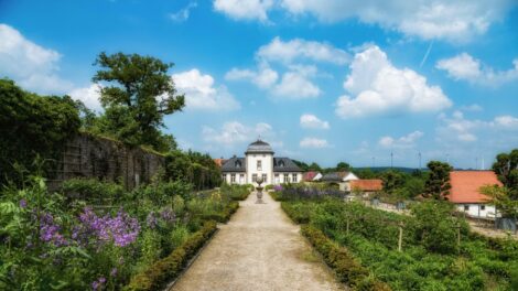 A zöldfelületek jelenthetik a legjobb védelmet a hőhullámok ellen