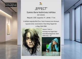 img__Effect____Szakacs_Barna_festomuvesz_kiallitasa_nyilik_a_Feher_Lo_Kozossegi_Hazban