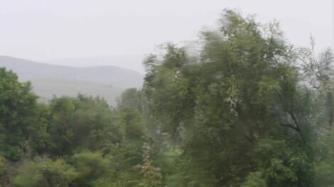 Több mint húsz helyszínen volt szükség tűzoltói beavatkozásra az erős szél miatt