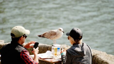 Bővült a globális turizmus, de törékeny a növekedés