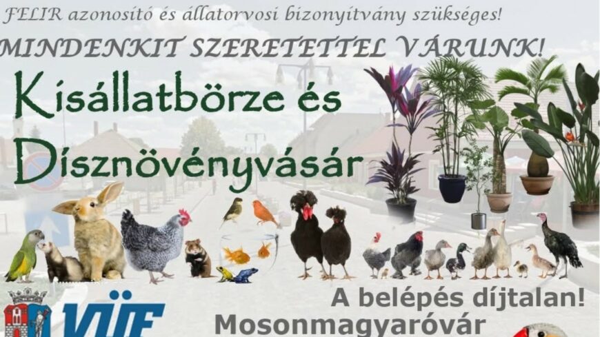 img_Ismet_kisallatborze_es_disznovenyvasar_lesz_Mosonmagyarovaron