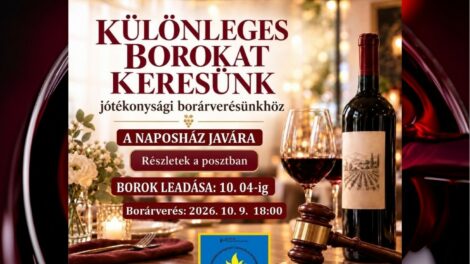 Különleges borokat gyűjtenek a Naposház javára rendezett árveréshez