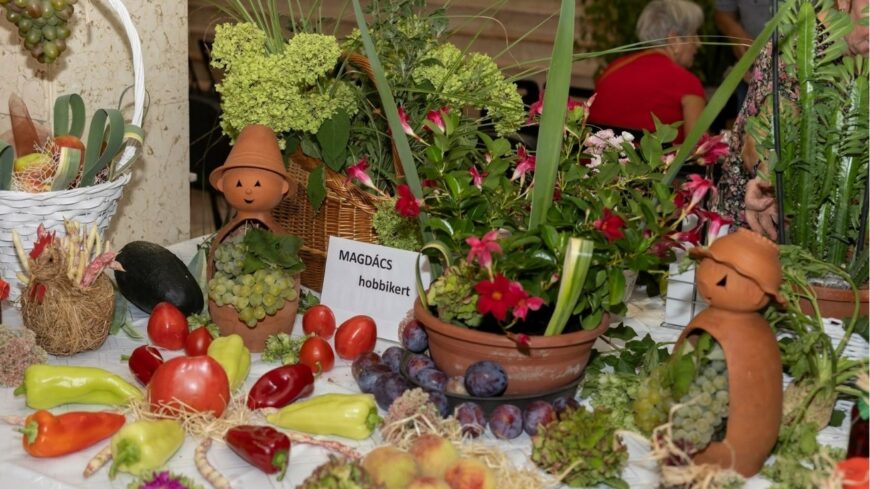 img_Termenyek_es_viragok_toltik_meg_a_Flesch_Kozpontot