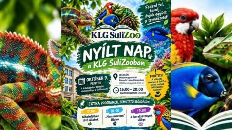 Több mint kétszáz fajjal találkozhatnak a KLG SuliZoo nyílt napján