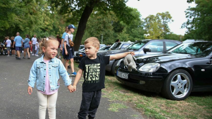 img_Veteran_jarmuvek_talalkoztak_a_Wittmann_Parkban