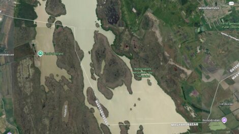 Újraéled a Fertő tó: ideiglenes strand nyílik, 80 százalékkal kisebb lesz a beépítés