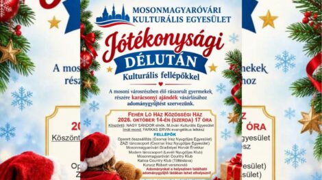 Jótékonysági délutánt rendeznek a mosoni gyermekekért