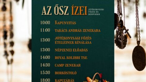 Jótékonysági főzéssel és borpiknikkel várják a látogatókat a Malom Placcon