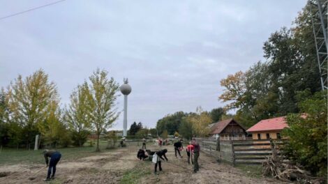 Ritka szántóföldi vadvirágok megőrzését segíti egy új dunaszigeti bemutatóterület